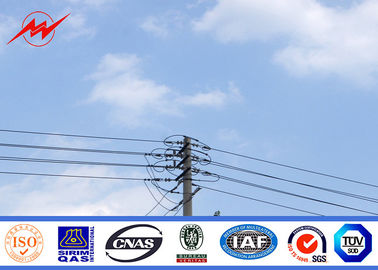 Chine courant électrique Polonais de 40FT pour la ligne de transport d'énergie exportée vers Philippines fournisseur