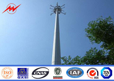 Chine 40 pieds antichoc de tour mono électrique de Polonais, mâts de téléphone mobile fournisseur