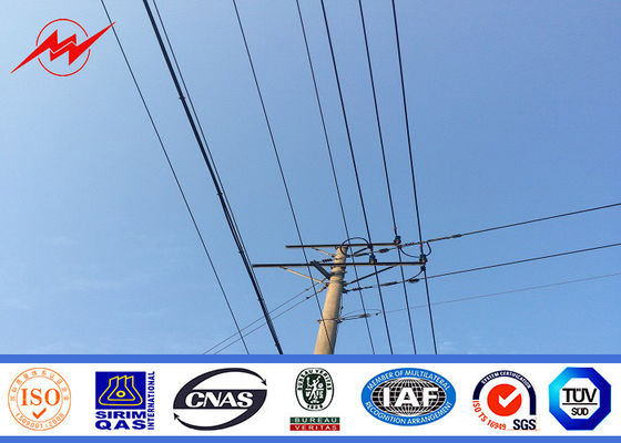 Courant électrique à haute tension Polonais télescopant la peinture en poudre adaptée aux besoins du client par Polonais