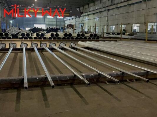 Concevez la lumière électrique en fonction du client de jardin de 6m 8m avec la résistance 35m/s de vent